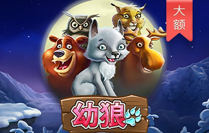 改装车火速驾驶